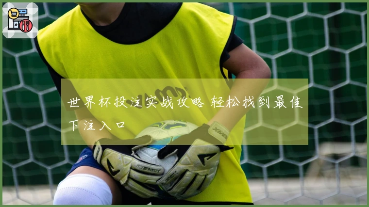 世界杯投注实战攻略 轻松找到最佳下注入口
