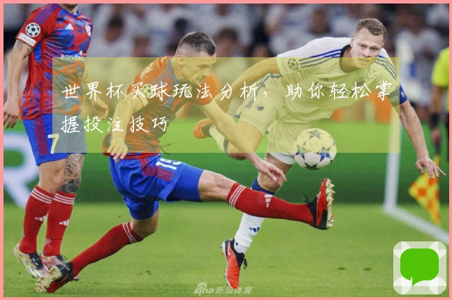 世界杯买球玩法分析，助你轻松掌握投注技巧