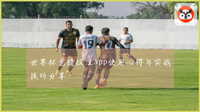世界杯竞猜投注App使用心得与实战技巧分享