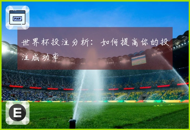 世界杯投注分析：如何提高你的投注成功率