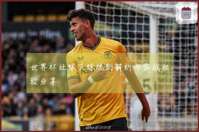 世界杯让球买球规则解析与实战经验分享