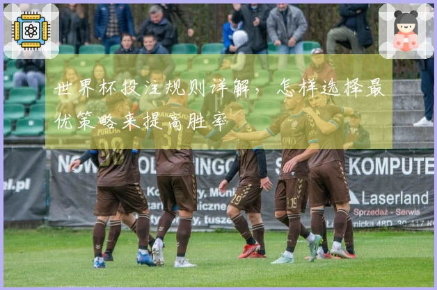 世界杯投注规则详解，怎样选择最优策略来提高胜率