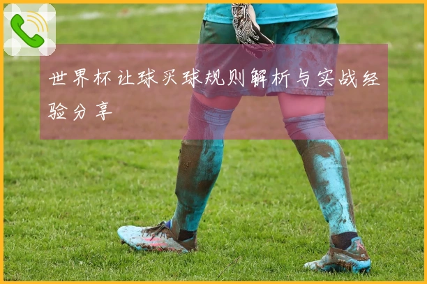 世界杯让球买球规则解析与实战经验分享