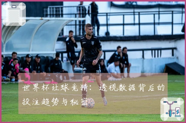 世界杯让球竞猜：透视数据背后的投注趋势与秘密