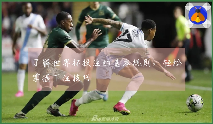 了解世界杯投注的基本规则，轻松掌握下注技巧