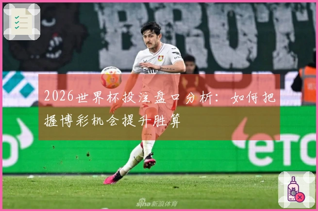 2026世界杯投注盘口分析：如何把握博彩机会提升胜算