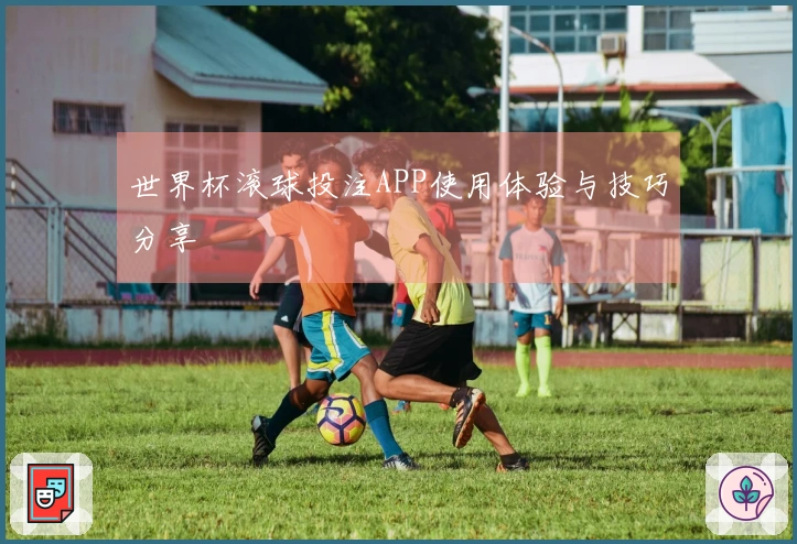 世界杯滚球投注APP使用体验与技巧分享
