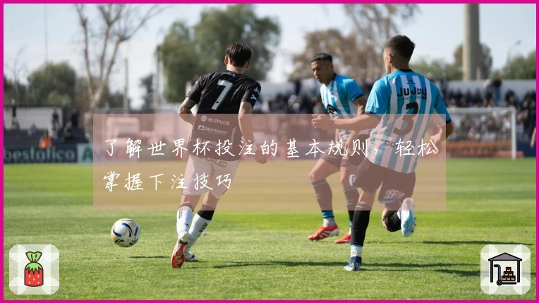 了解世界杯投注的基本规则，轻松掌握下注技巧